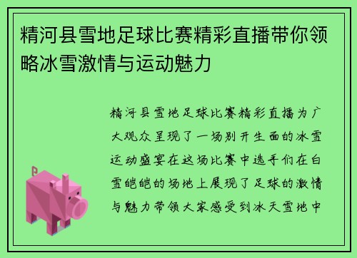 精河县雪地足球比赛精彩直播带你领略冰雪激情与运动魅力
