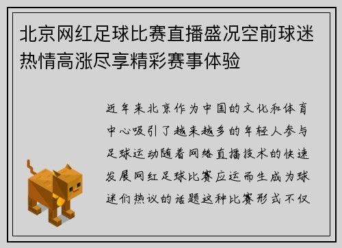 北京网红足球比赛直播盛况空前球迷热情高涨尽享精彩赛事体验